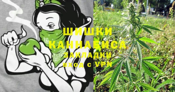 ГАЛЛЮЦИНОГЕННЫЕ ГРИБЫ Абдулино