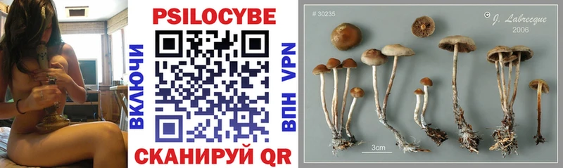 купить закладку  Осташков  гидра онион  Галлюциногенные грибы Psilocybe 